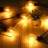 Extension Vintage 20 Bombillos Led